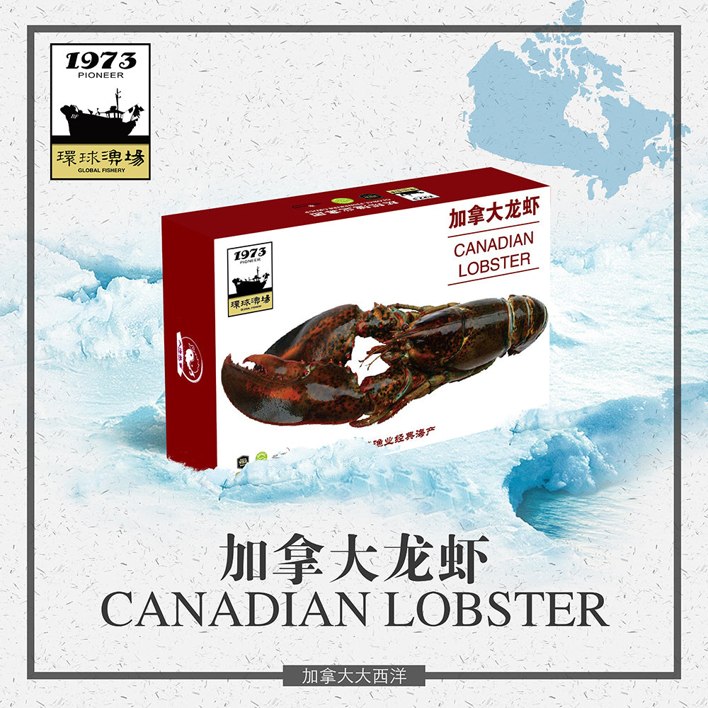 Canadian Atlantic Lobster