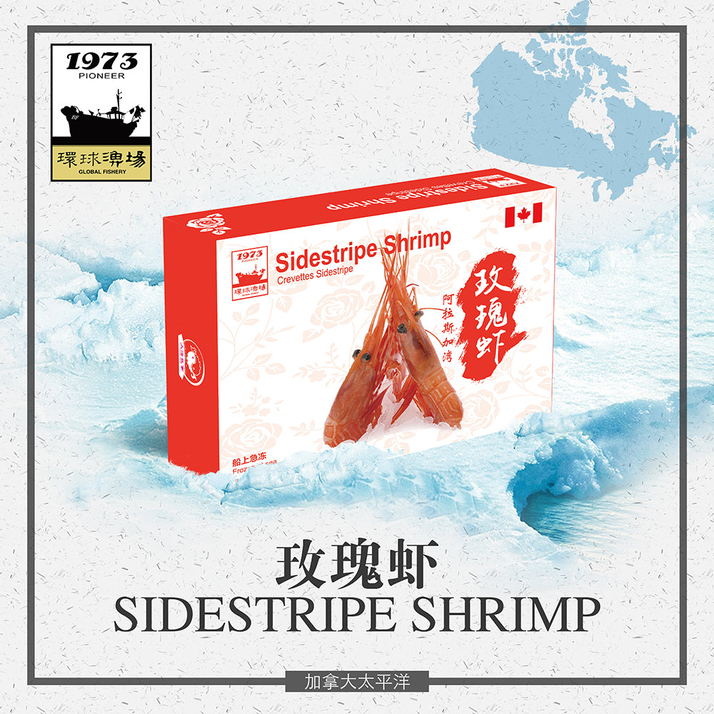 Sidestripe Shrimp