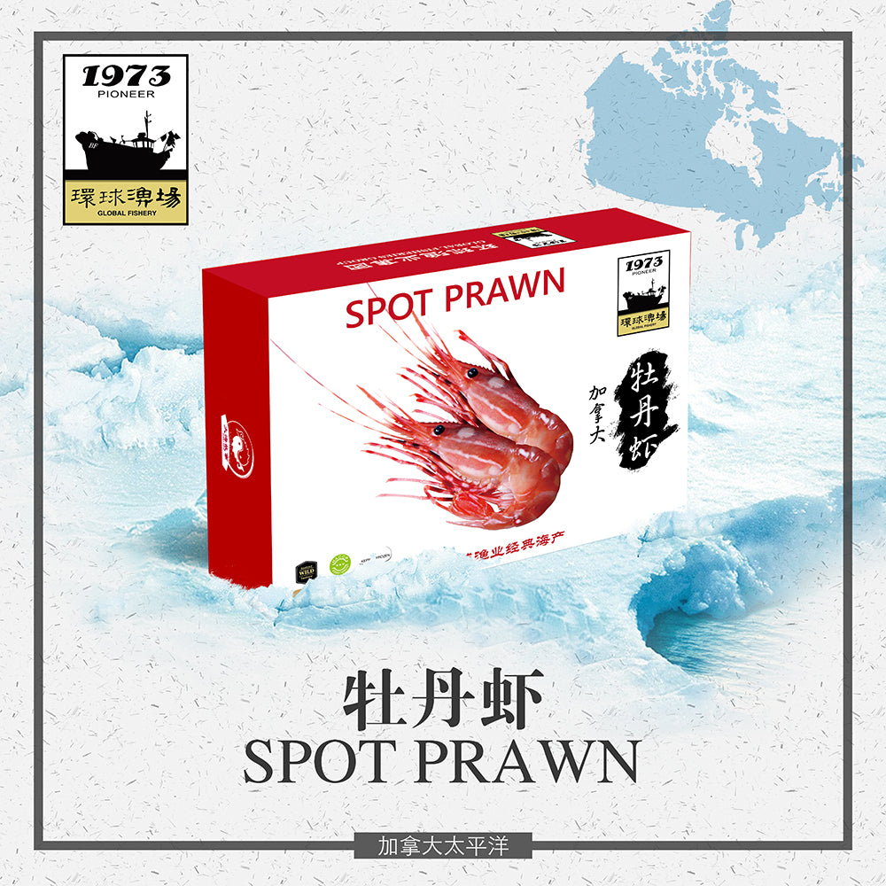 Spot Prawn